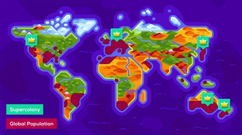 ant mega colony|Ant colony .